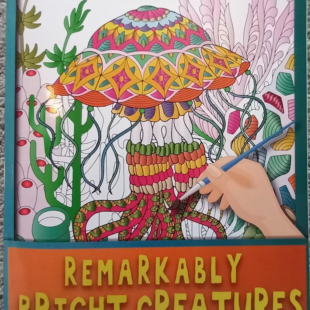 Adult Coloring Book